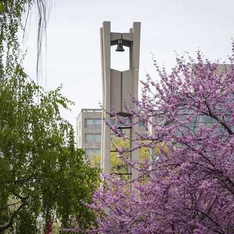 image of the Bell Tower in the springtime.